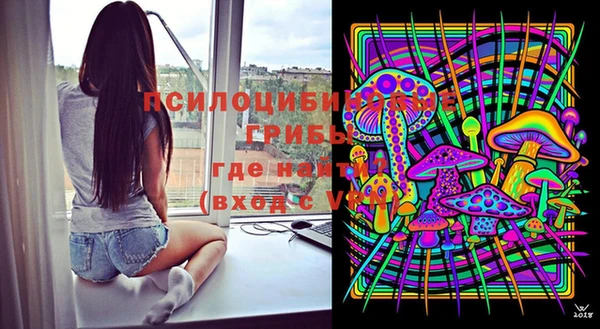 стафф Алексеевка