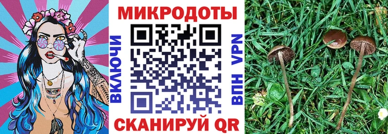 Галлюциногенные грибы Magic Shrooms  kraken ONION  Пыталово 